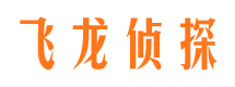 陵县侦探